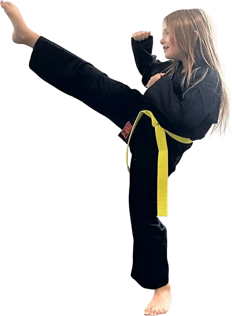 Kids Martial Arts (4-15) class